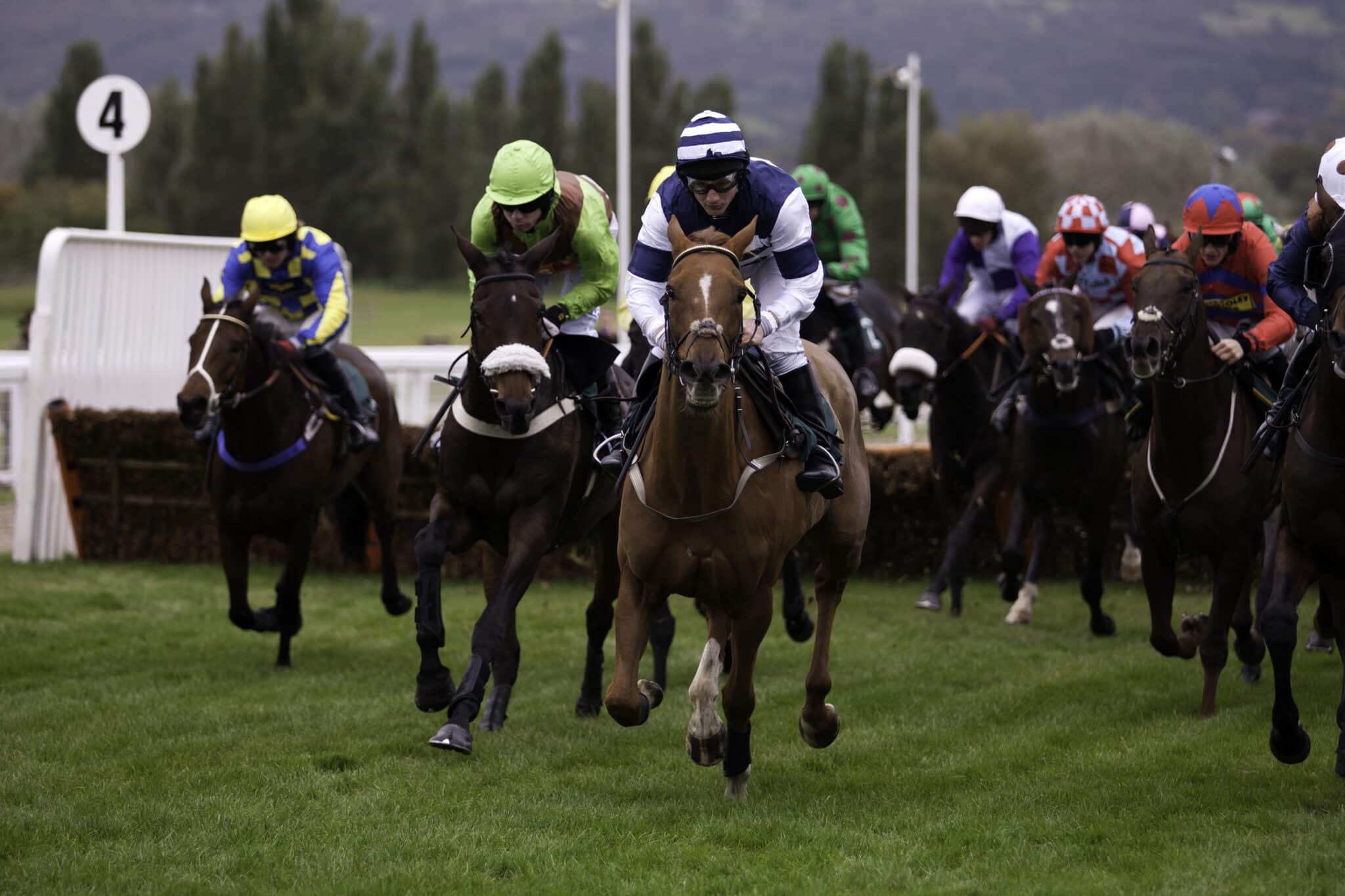 Cheltenham